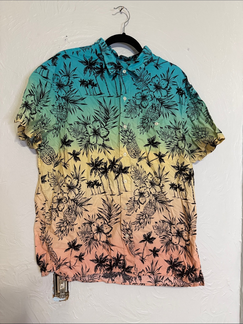 American eagle button up